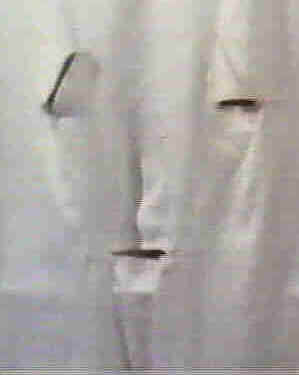 veil5.jpg (12122 bytes)